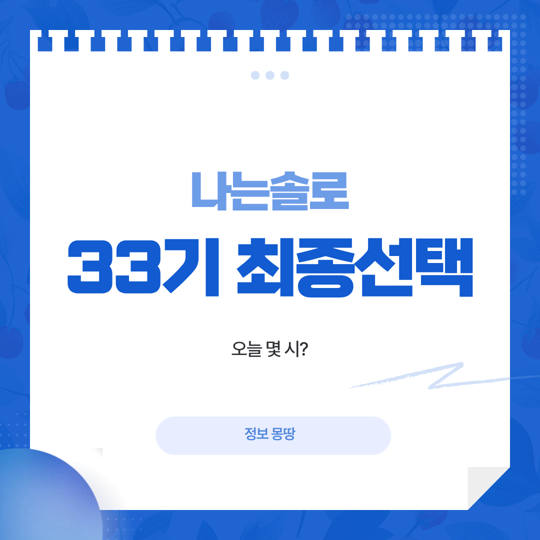 나는 솔로