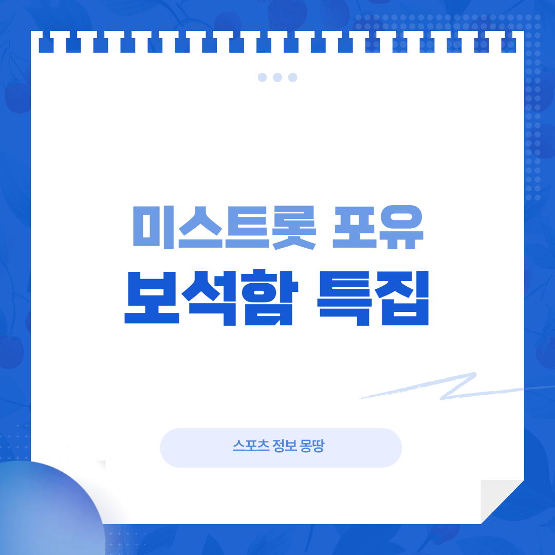 미스트롯 포유 보석함 특집 대표 이미지