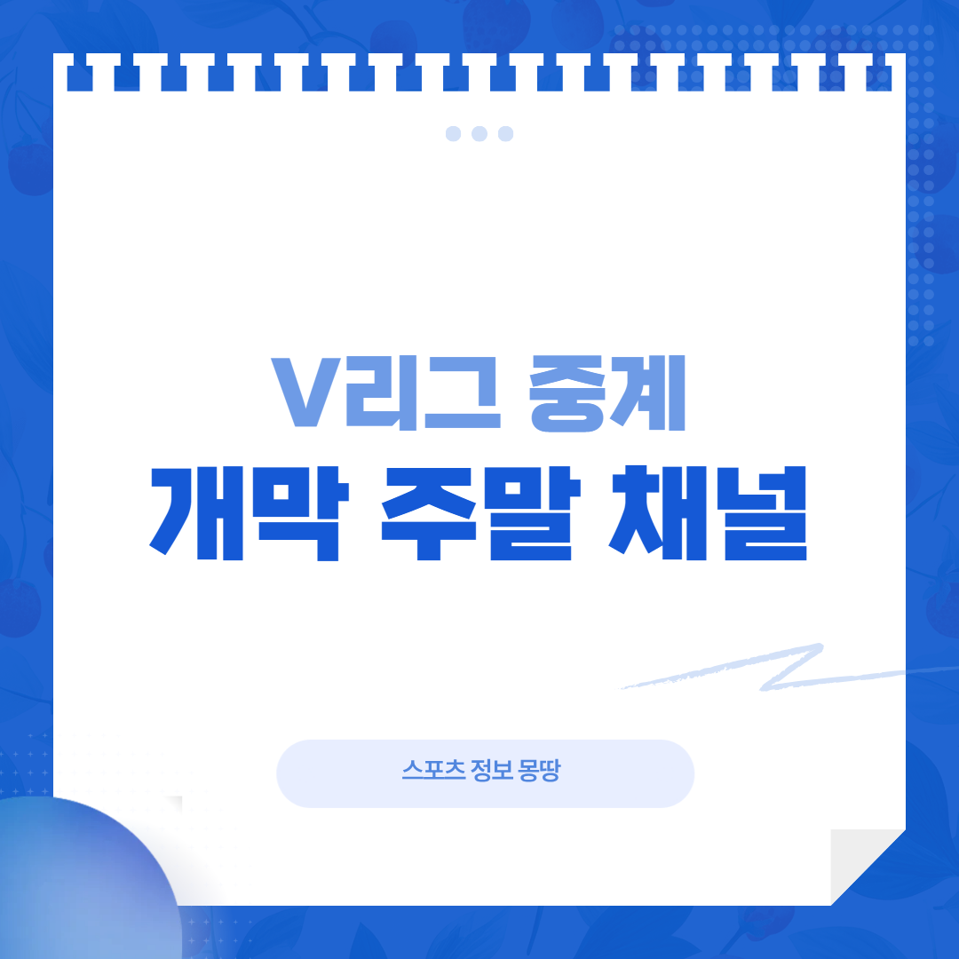 V리그 중계 채널과 1라운드 일정 대표 이미지